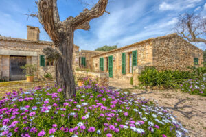 Agroturismo | Son Josep de Baix